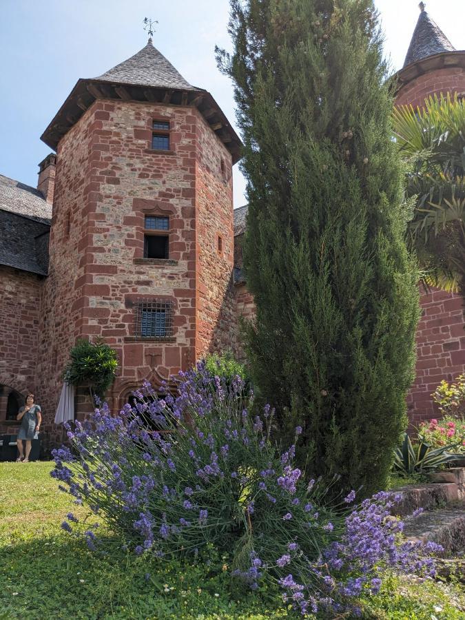 Chateau De Vassinhac Chambres D'Hotes Collonges La Rouge Εξωτερικό φωτογραφία